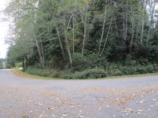 Picture of Point Roberts Parcel Number 405302-238154
